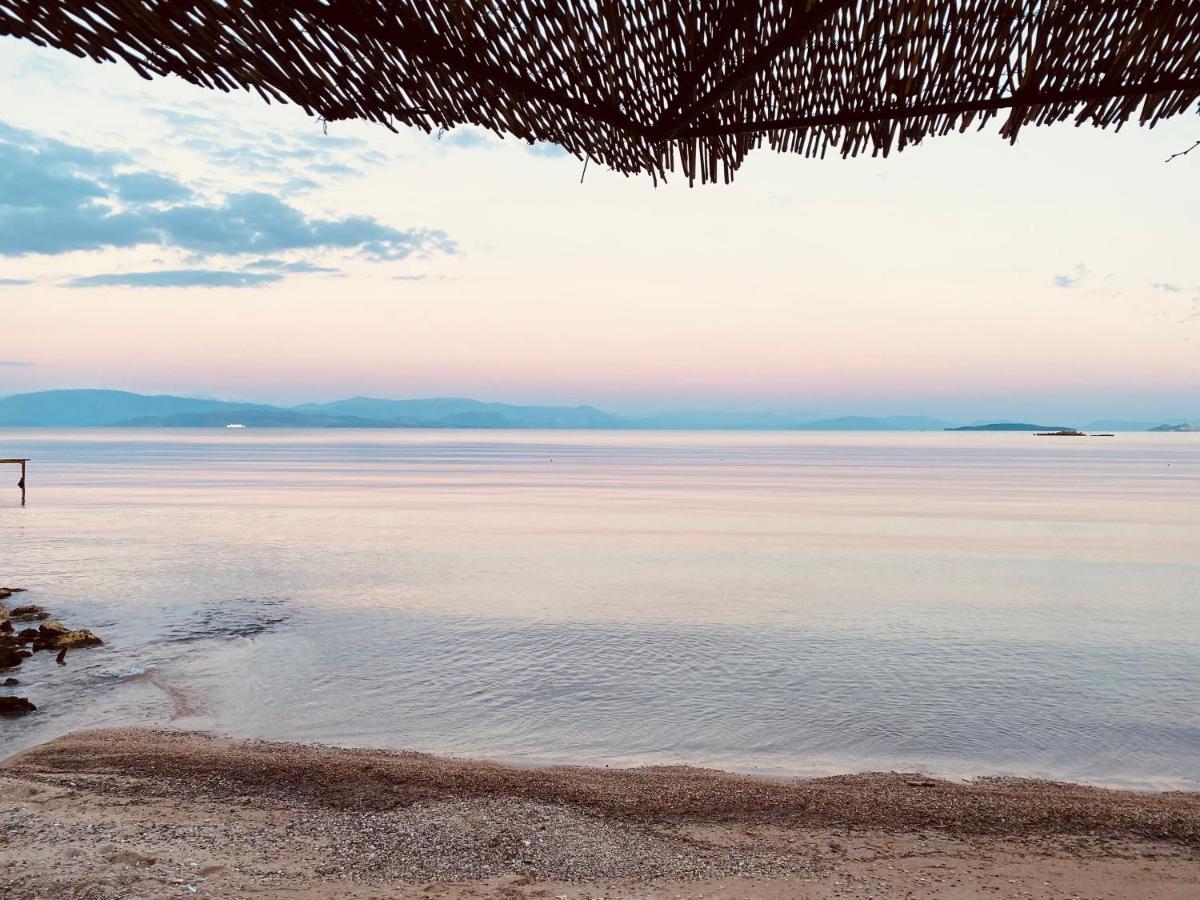 Louvros Luxury Suites Δασιά Εξωτερικό φωτογραφία